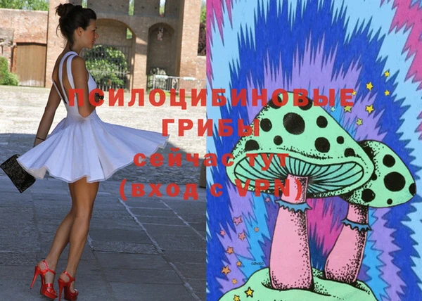 скорость Абаза